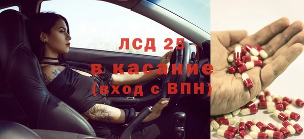 ПСИЛОЦИБИНОВЫЕ ГРИБЫ Ельня