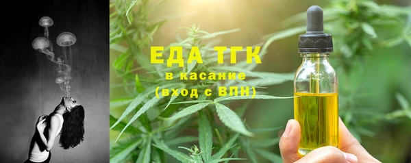 ПСИЛОЦИБИНОВЫЕ ГРИБЫ Ельня