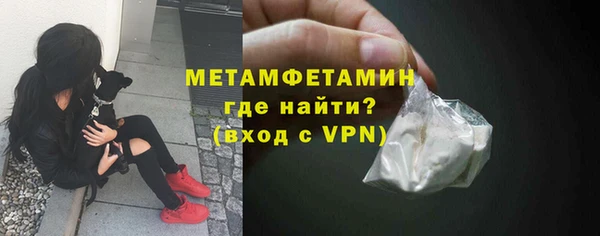 ПСИЛОЦИБИНОВЫЕ ГРИБЫ Ельня