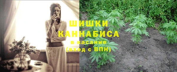 гашик Заволжье