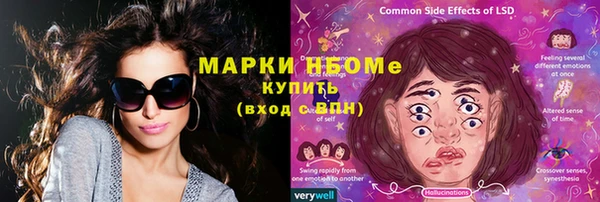 ПСИЛОЦИБИНОВЫЕ ГРИБЫ Ельня