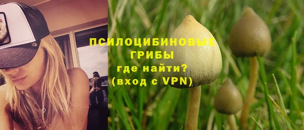 гашик Заволжье