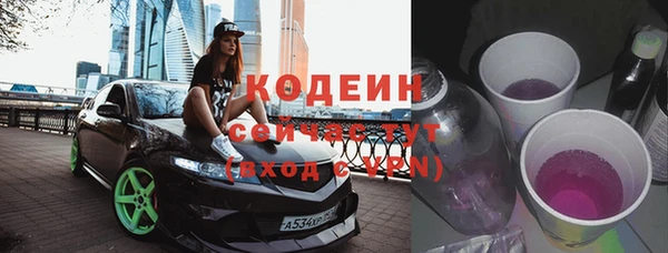ПСИЛОЦИБИНОВЫЕ ГРИБЫ Ельня