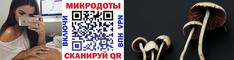 цена Свободный MEGA вход Галлюциногенные грибы Psilocybe