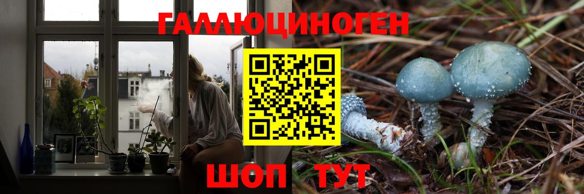 Галлюциногенные грибы Psilocybe Свободный